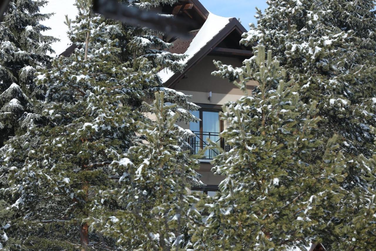Mipet Apartmani Zlatibor Buitenkant foto